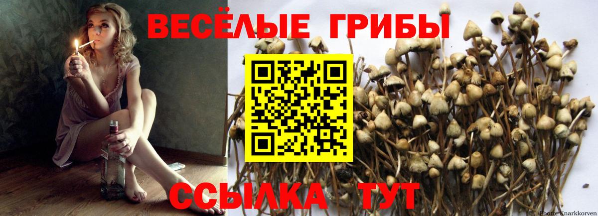 Каннабис  Вход с VPN  МЕФ кристаллы  АМФЕТАМИН   Прокопьевск  COCAIN  ГАШИШ 