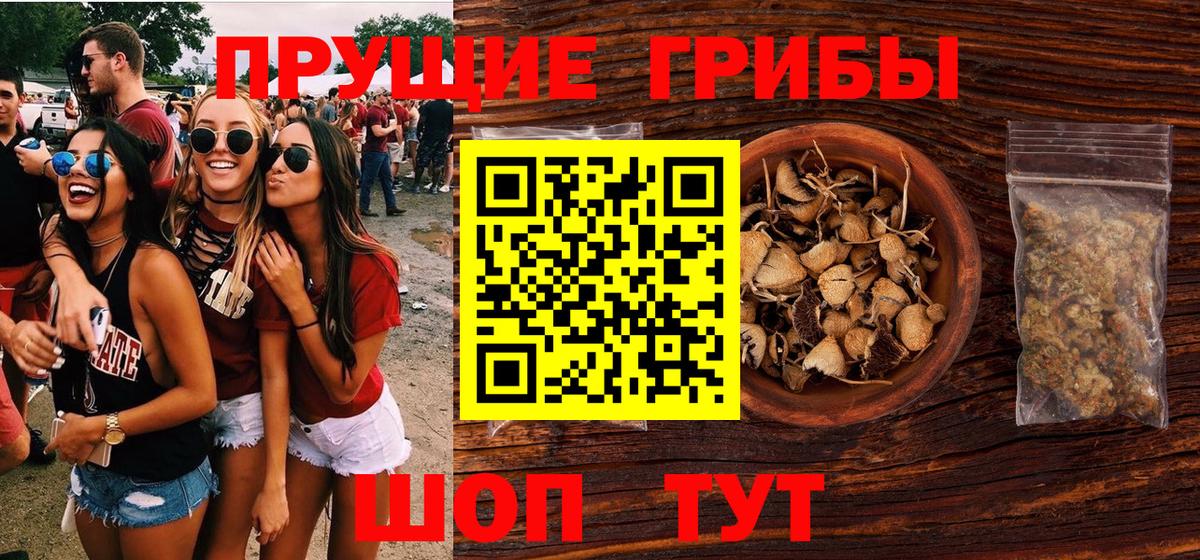 Прокопьевск  Псилоцибиновые грибы ЛСД  Псилоцибиновые грибы GOLDEN TEACHER  Вход с VPN 