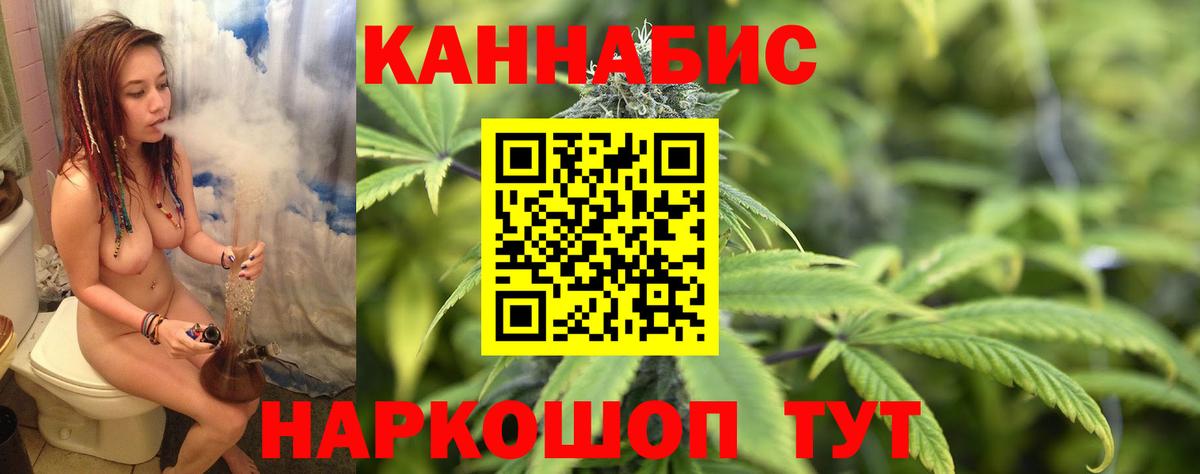 Бошки марихуана семена  Вход с VPN  Прокопьевск  Канабис планчик  МАРИХУАНА марихуана 